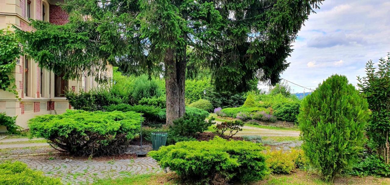 Villa Kliche Przerzeczyn-Zdroj ภายนอก รูปภาพ