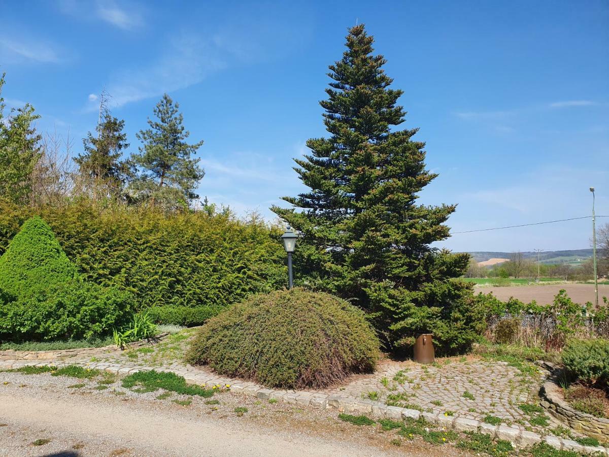 Villa Kliche Przerzeczyn-Zdroj ภายนอก รูปภาพ
